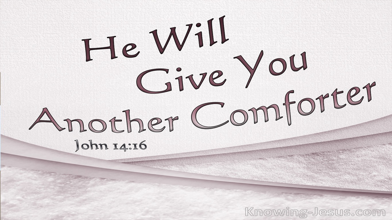 John 14:16 He Will Give You Another Comforter (pink)